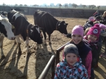 Exkurze na farmě