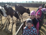 Exkurze na farmě
