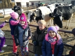 Exkurze na farmě