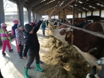 Exkurze na farmě