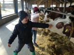 Exkurze na farmě