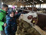 Exkurze na farmě