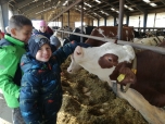 Exkurze na farmě