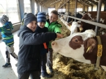 Exkurze na farmě