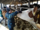 Exkurze na farmě