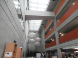 Český rozhlas