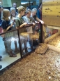 Krokodýlí ZOO