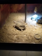 Krokodýlí ZOO