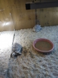 Krokodýlí ZOO