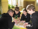 Březen 2020 - Vietnamská dílna
