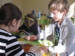 Březen 2020 - Vietnamská dílna