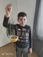 Distanční výuka - PČ - Krmení pro ptáčky
