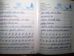 Distanční výuka - Psaní