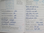 Distanční výuka - Psaní